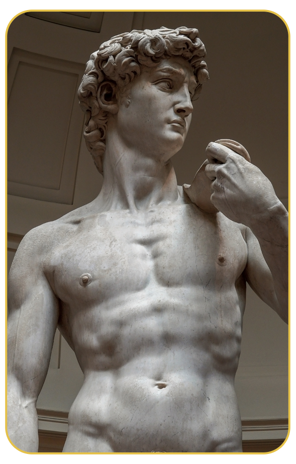 David